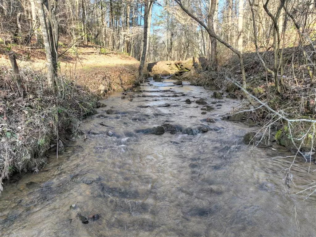 Ellijay, GA 30540,394 Cowboy Trail