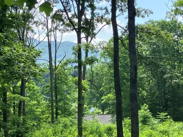Young Harris, GA 30582,6364 Springwood Trail