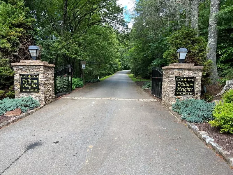 Lot 10 Trillium Heights, Brasstown, NC 28902