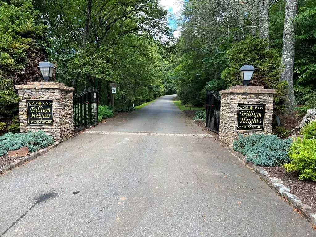 Brasstown, NC 28902,Lot 10 Trillium Heights