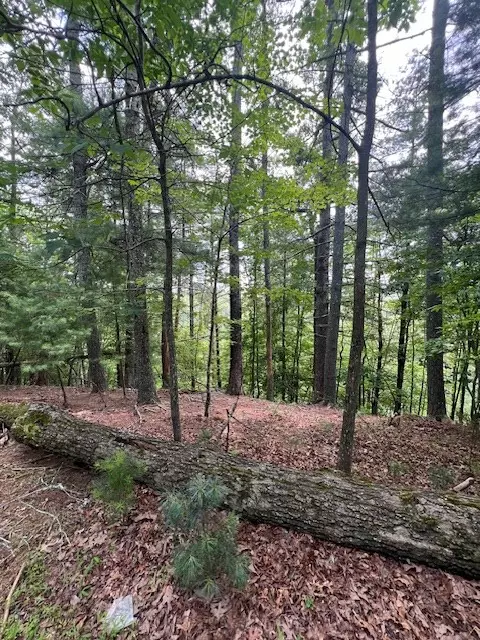 Mineral Bluff, GA 30559,Lot 20 Moonshine Mountain Road