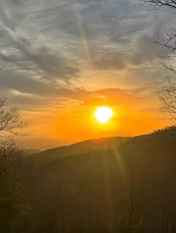 Ellijay, GA 30540,539 Dowel Circle