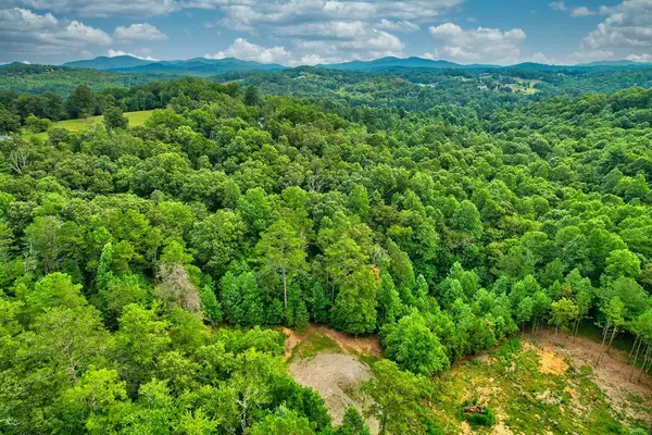 Blue Ridge, GA 30513,Lt 73 River Ridge
