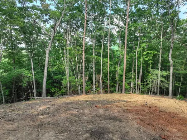 0 Sugar Creek Road, Blue Ridge, GA 30513
