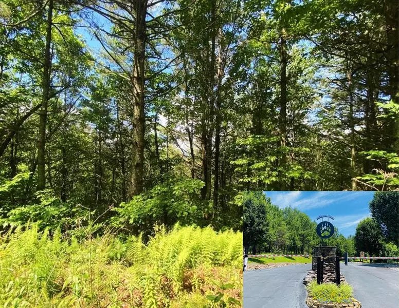 Lot 97 Choctaw Ridge Trail, Murphy, NC 28906