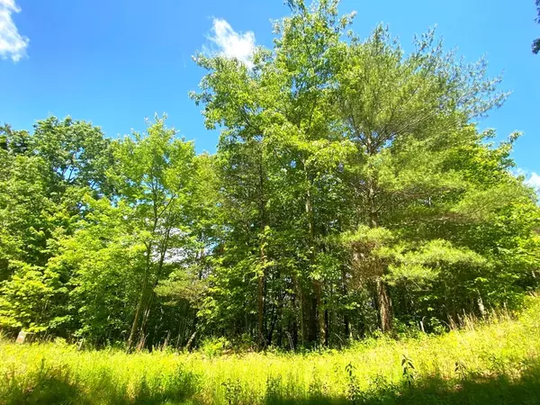Murphy, NC 28906,Lot 97 Choctaw Ridge Trail