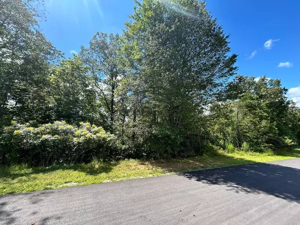 Mineral Bluff, GA 30559,Lot 112 Fawn Way