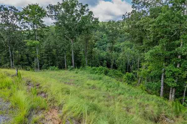 Talking Rock, GA 30175,Lot 246 Spear Point Dr