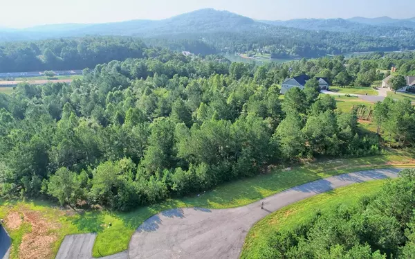 Blairsville, GA 30512,LOT 87 Northshore