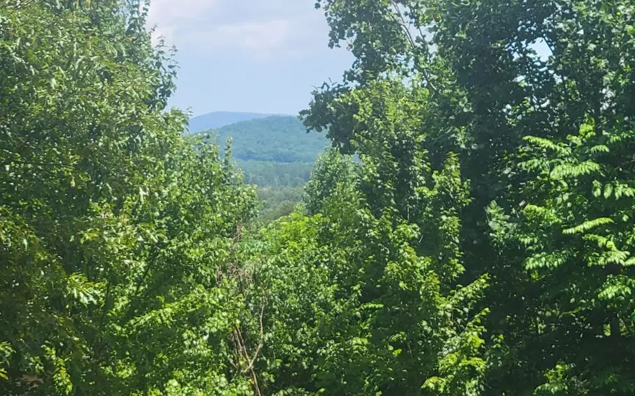 Warne, NC 28909,24 Mountain Knoll Lane