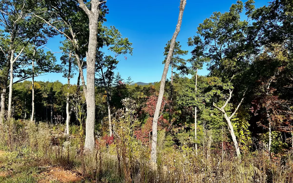 Ellijay, GA 30540,Lot 305 Greenwood Court
