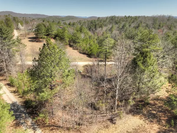 Mineral Bluff, GA 30059,Lots 2&4 Walnut Hills /Spur 6