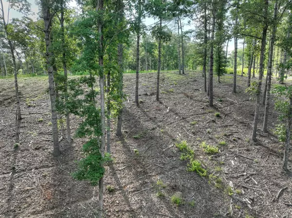 Morganton, GA 30560,190 Split Creek Road