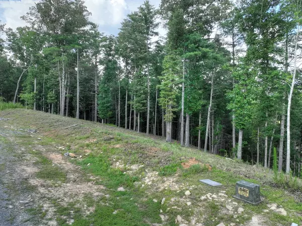 Morganton, GA 30560,190 Split Creek Road