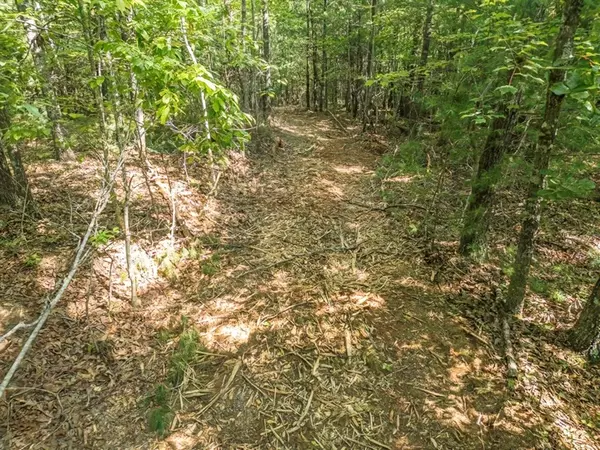 Mineral Bluff, GA 30559,56.46 Ac Cutcane Road