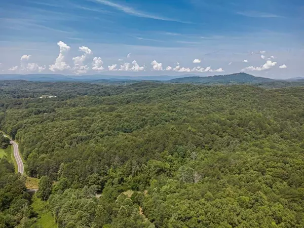 Mineral Bluff, GA 30559,56.46 Ac Cutcane Road