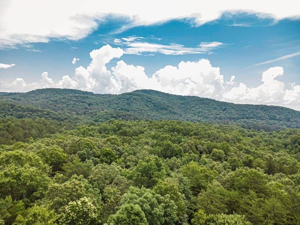 56.6 Ac Cutcane Road, Mineral Bluff, GA 30559