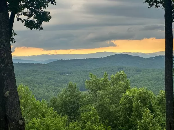 Blairsville, AL 35012,Lt 23 Scouts Ridge Road