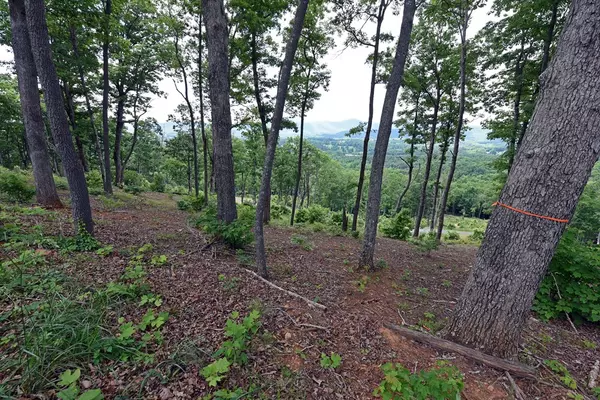 Blairsville, GA 30512,00 Highland Park Lt 112