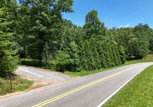 Mineral Bluff, GA 30559,3373 Hardscrabble Road