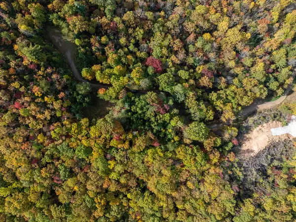 Andrews, NC 28901,Lot 51 Grand View Falls