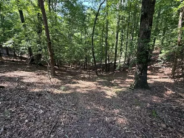 Ellijay, GA 30540,2115 Palisade Drive