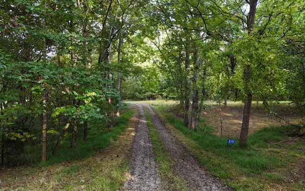 Mineral Bluff, GA 30559,LOT 8 Murphy Lane
