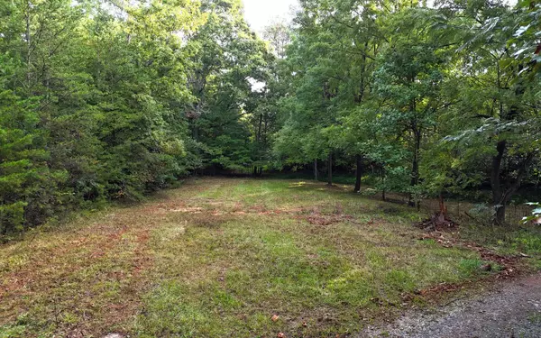 Mineral Bluff, GA 30559,LOT 8 Murphy Lane
