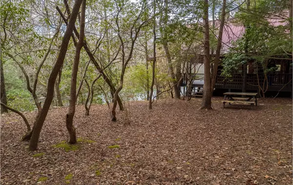 Ellijay, GA 30536,576 Cartecay Cove Lane