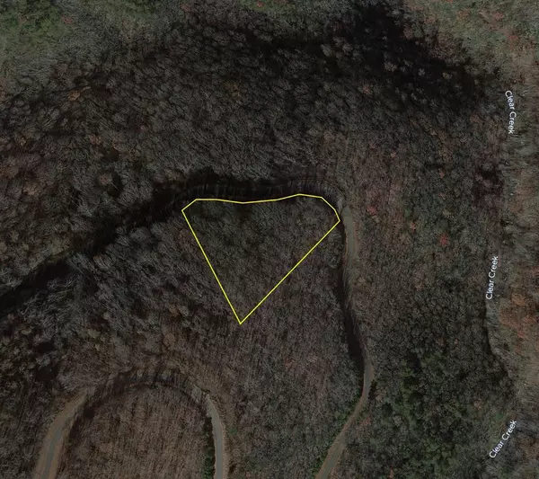Ellijay, GA 30536,249 Andes Ridge
