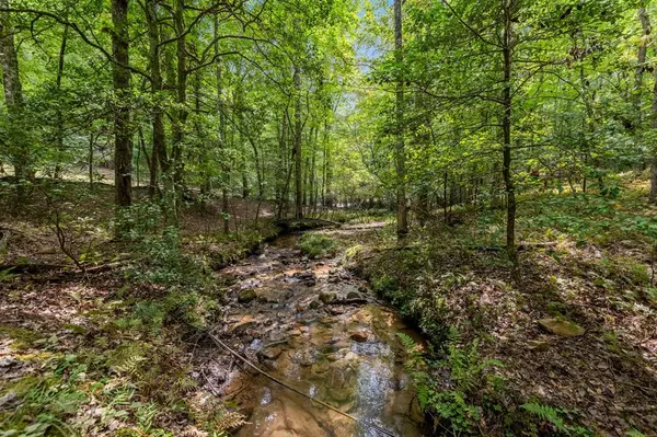 Blue Ridge, GA 30513,421 Weeks Creek Road