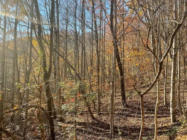 Hayesville, NC 28904,Lot 41C Ash Branch Circle