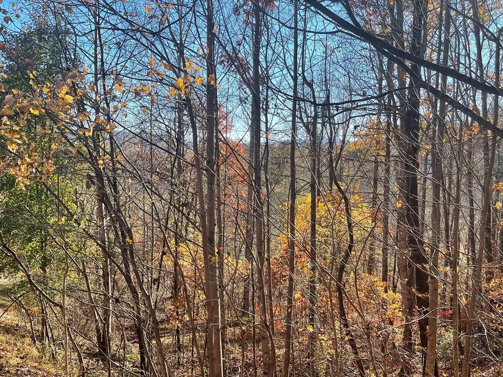 Hayesville, NC 28904,Lot 41C Ash Branch Circle