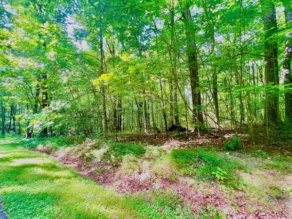 Ellijay, GA 30536,186 St Andrews Way