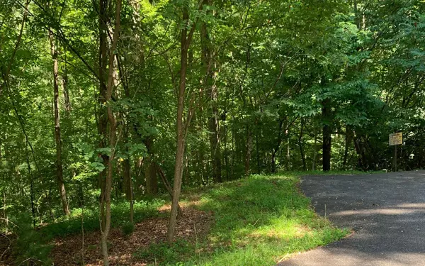 Blairsville, GA 30512,LOT20 Bryant Cove Road