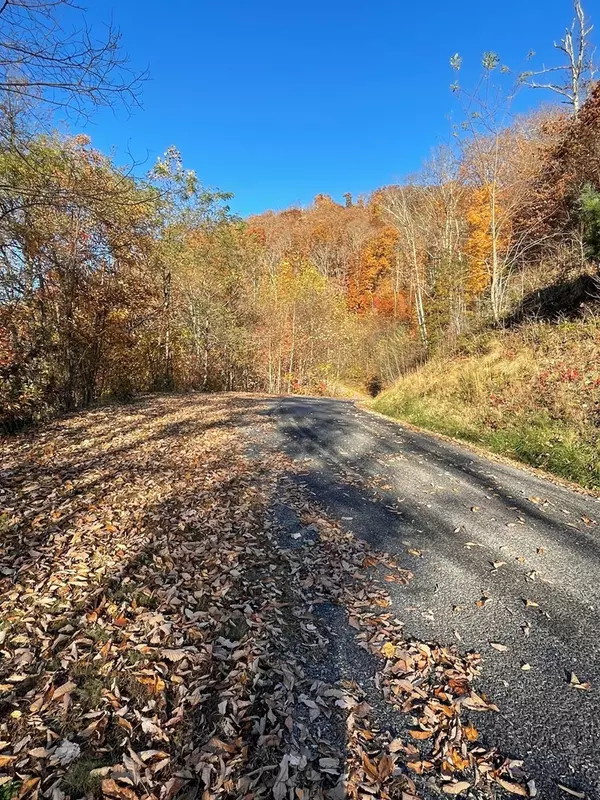 Hayesville, NC 28904,Lot 37M Ridges Overlook
