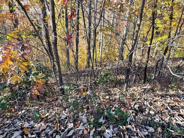 Hayesville, NC 28904,Lot 37M Ridges Overlook