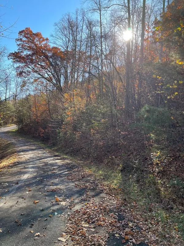 Hayesville, NC 28904,36 54C Ash Branch Circle