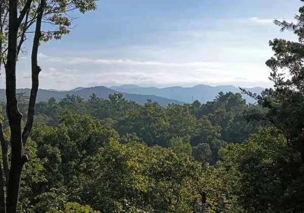 Blairsville, GA 30512,975 Bunker Hill Road