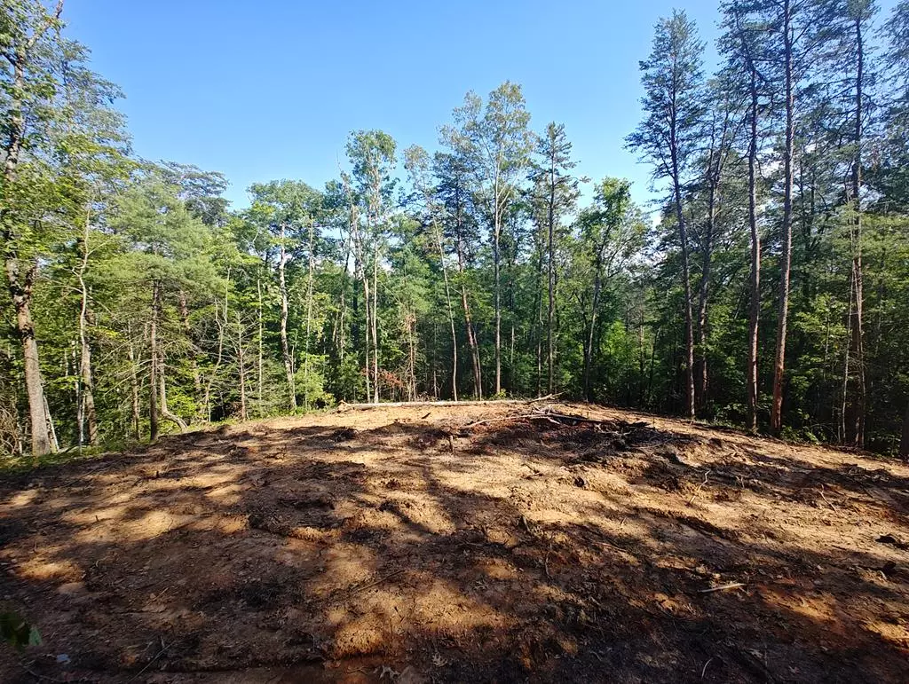 Turtletown, TN 37391,199 Megan Trace Lane