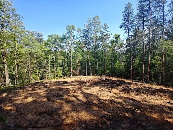 199 Megan Trace Lane, Turtletown, TN 37391