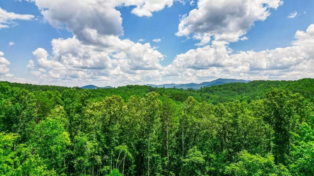 Turtletown, TN 37391,0 Hemlock Ridge Subd