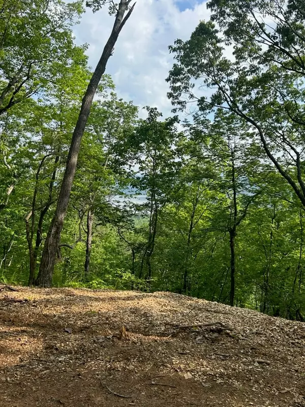 Ranger, GA 30734,324 Adair Drive