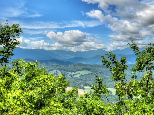 Young Harris, GA 30582,1170 Winchester Creek