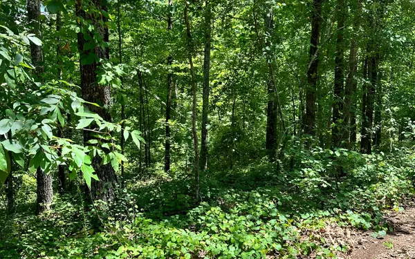 Talking Rock, GA 30175,LT 1719 Rebekah Ridge Road