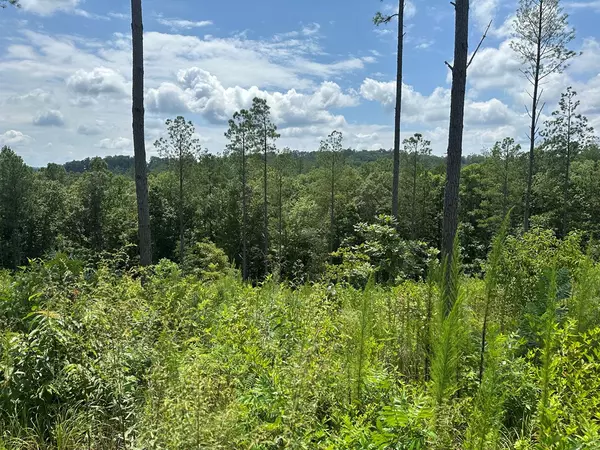 Talking Rock, GA 30175,Lot 147 Creekside Crossing