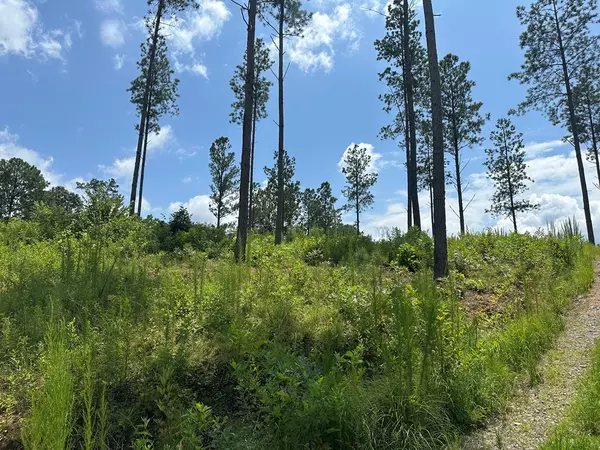 Talking Rock, GA 30175,Lot 147 Creekside Crossing