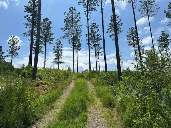 Talking Rock, GA 30175,Lot 147 Creekside Crossing