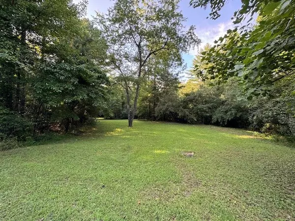 Mineral Bluff, GA 30559,LT 1 Newberry Drive