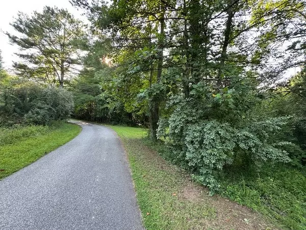 Mineral Bluff, GA 30559,LT 1 Newberry Drive